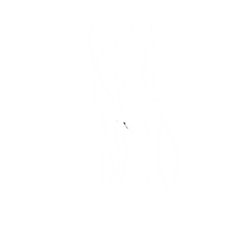 Knoll Audio